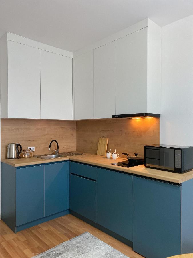 Altai Apartment