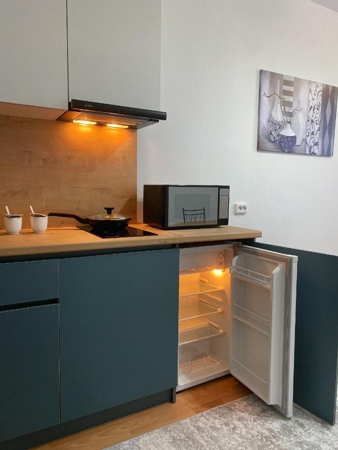 Altai Apartment *